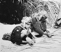Netting